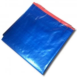 Dog Car Seat Cover - Blue