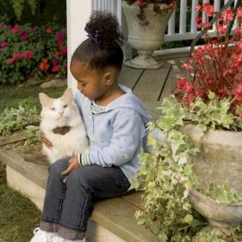 Cat Fence PetSafe PCF-1000-20 Deluxe In-Ground 