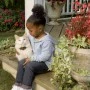 Cat Fence PetSafe PCF-1000-20 Deluxe In-Ground 