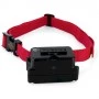 Stubborn Dog Extra Receiver Collar PIG19-10763