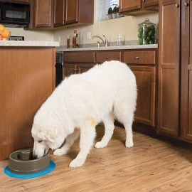 Drinkwell Current Pet Fountain - Large 3.5L