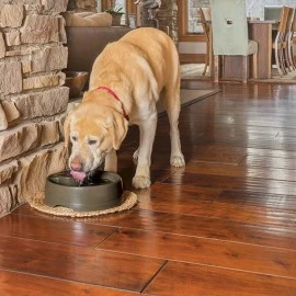 Drinkwell Current Pet Fountain - Large 3.5L