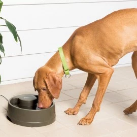 Drinkwell Current Pet Fountain - Medium 2.4L