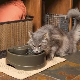 Drinkwell Current Pet Fountain - Medium 2.4L