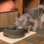 Drinkwell Current Pet Fountain - Medium 2.4L