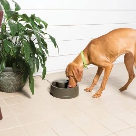 Drinkwell Current Pet Fountain - Medium 2.4L