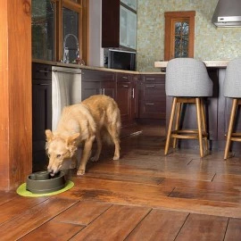 Drinkwell Current Pet Fountain - Medium 2.4L