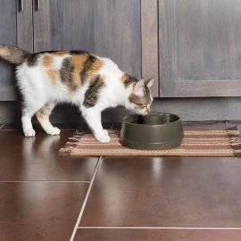Drinkwell Current Pet Fountain - Medium 2.4L