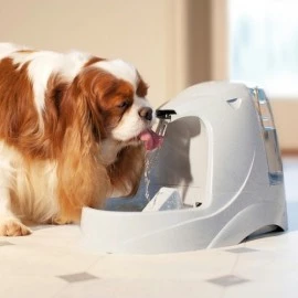 PetSafe Drinkwell Platinum Pet Fountain – 5L Automatic Filtered Water Dispenser for Cats & Dogs