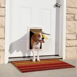 Medium - PetSafe Plastic Extreme Weather Energy Efficient, White