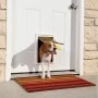 Medium - PetSafe Plastic Extreme Weather Energy Efficient, White