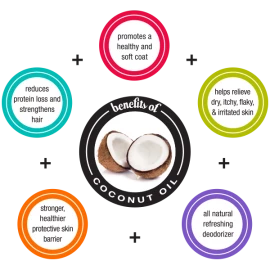 Isle of Dogs - CoClean Dog Shampoo Odor Neutralizing