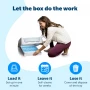 ScoopFree™ Self-Cleaning Litter Box (Second Gen) – Automatic No-Scoop System, Odour-Free Crystal Litter, Disposable Trays