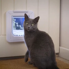 Cat Mate Elite Microchip Cat Flap with Timer Control (Model 355W)