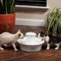 PetSafe Drinkwell Ceramic Avalon Pet Fountain – 2L Automatic Water Dispenser for Cats & Dogs