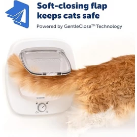 PetSafe White Big Cat Flap – Spacious & Secure Door for Large Cats & Small Dogs