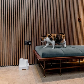 Cat Mate 3-Level Water Fountain for Cats & Small Dogs – Ultra-Quiet, 2L Capacity (Model 335W)