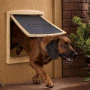Large Dog Door - Irish Oak On White Ral 1011