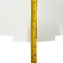Staywell Petsafe Medium 760 Internal Slide in Replacement Panel