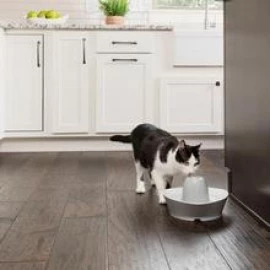 PetSafe Streamside Ceramic Pet Fountain, 1.8-litre water capacity, whisper-quiet design