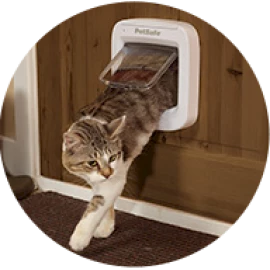 Microchip Operated