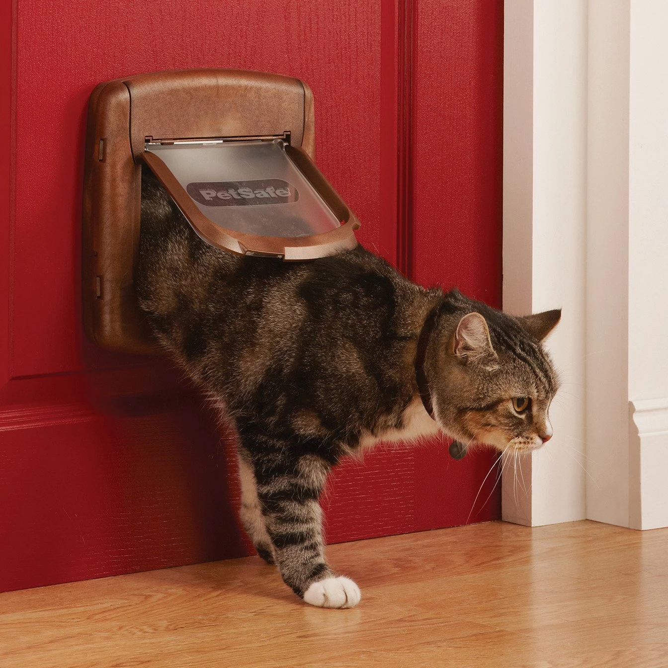 Staywell 420 Installed PetSafe Staywell 420 brown magnetic cat flap installed
