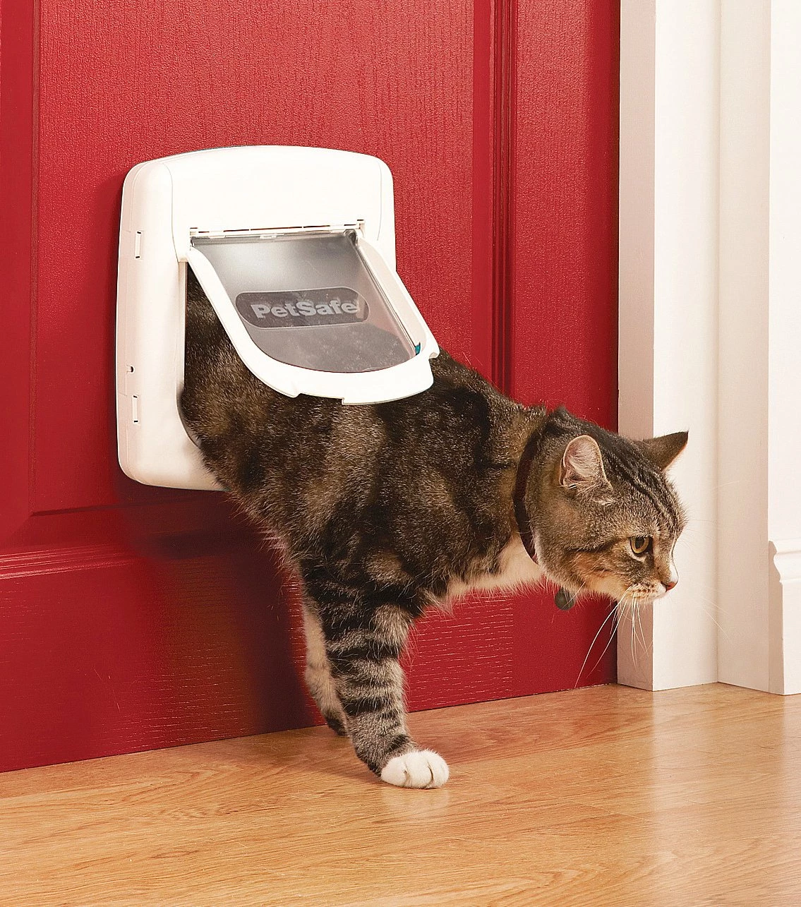 PetSafe Staywell 400 Magnetic Cat Flap with collar magnet