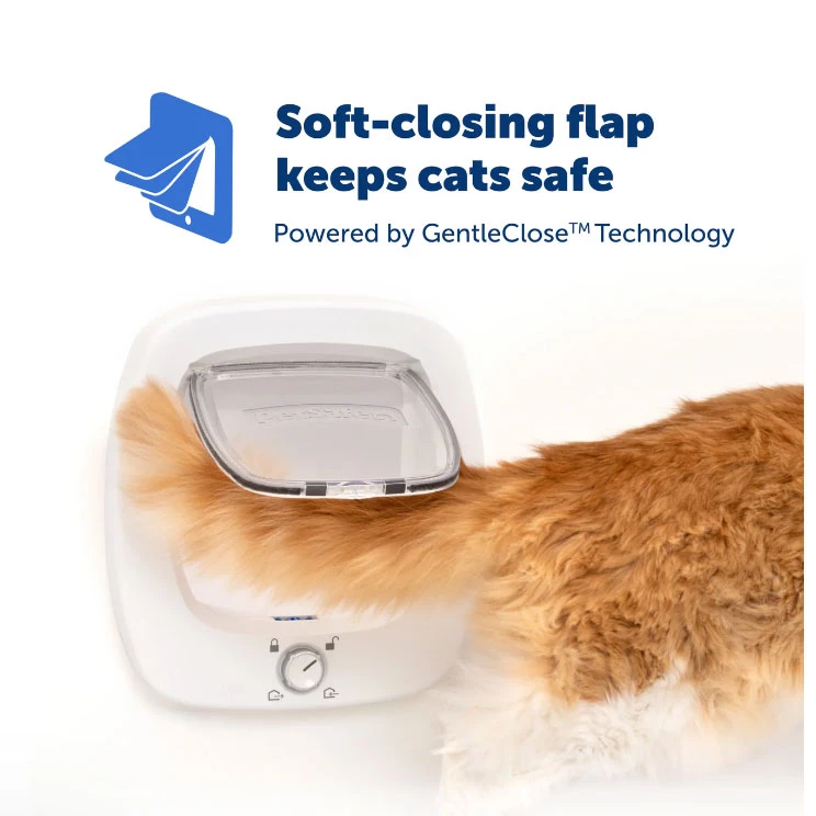 PetSafe Big Cat Flap with GentleClose soft closing technology
