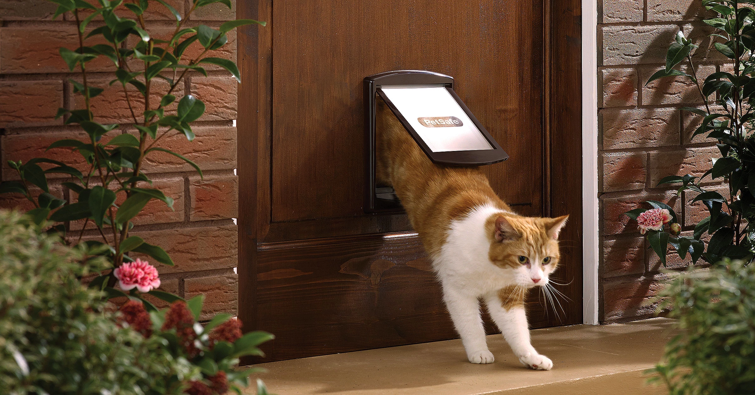 PetSafe Staywell 730 brown small dog door and cat flap
