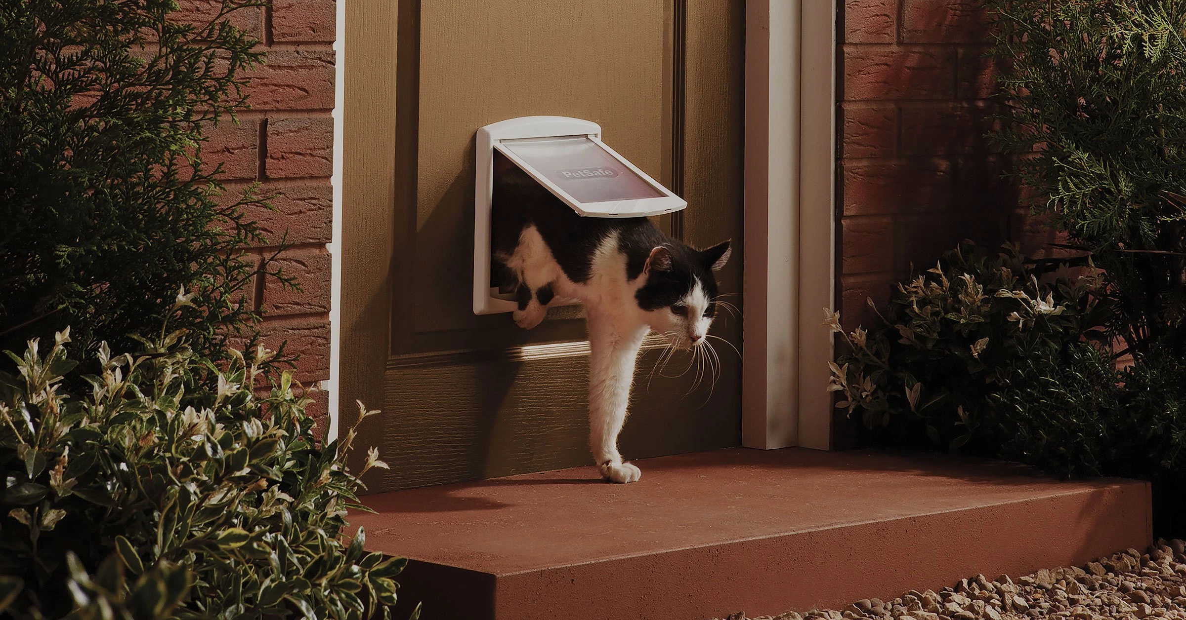 PetSafe Staywell 715 White Small Dog Door PetSafe Staywell 715 white small dog door and cat flap
