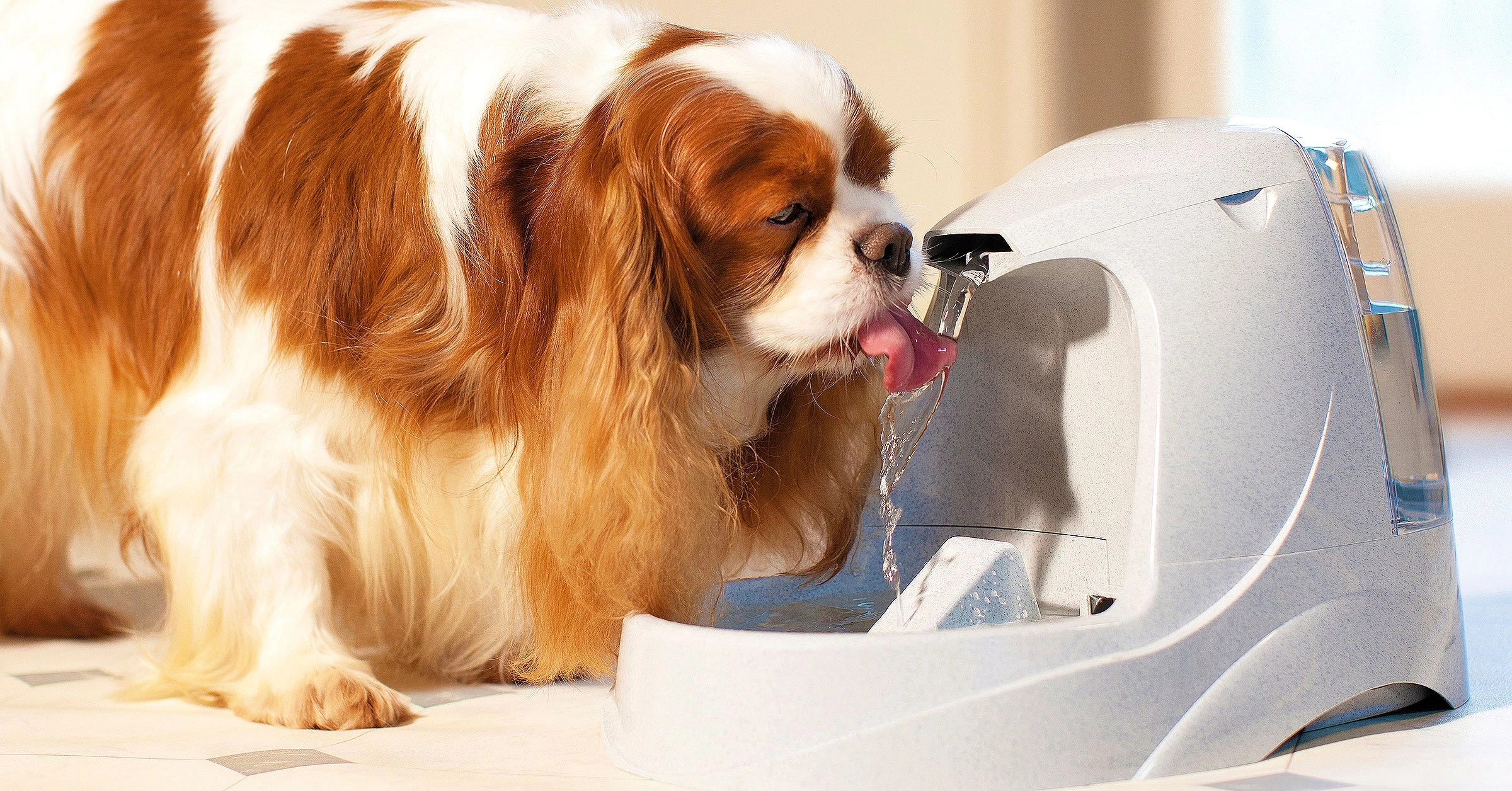 PetSafe Drinkwell Platinum 5L dog and cat water fountain with free-falling water stream