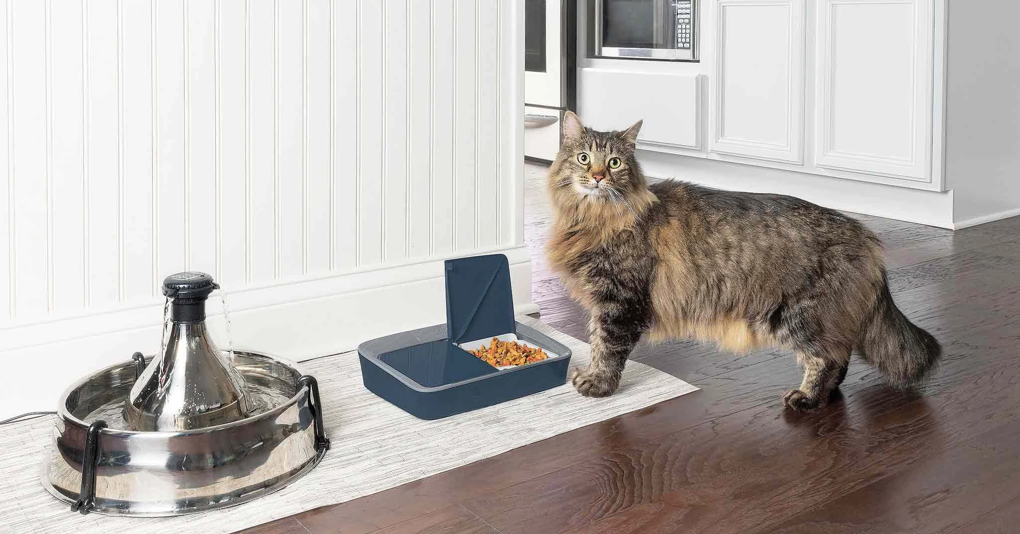 Cat and dog water fountains from Drinkwell PetSafe and Cat Mate