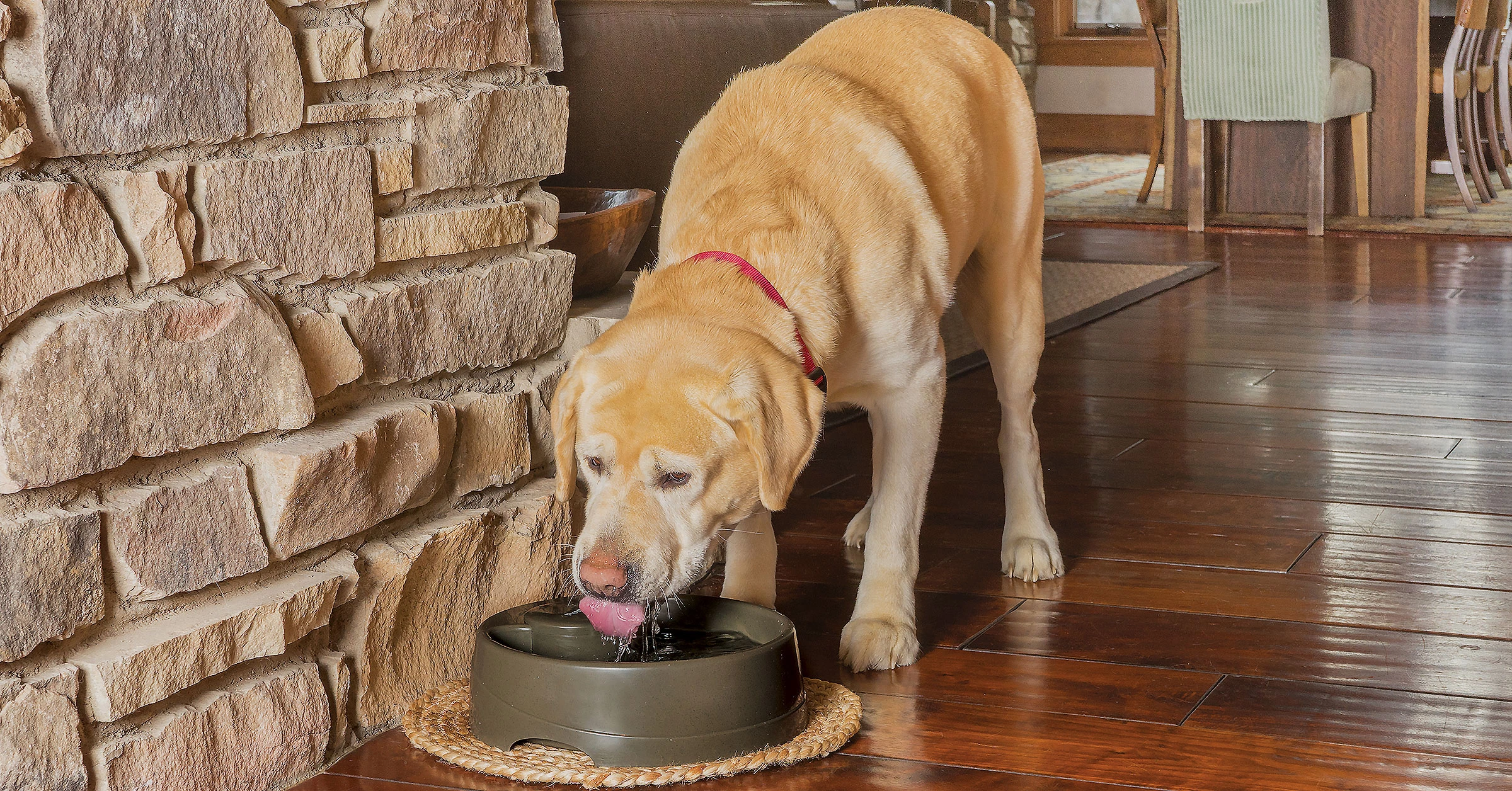 PetSafe Drinkwell Current Large 3.5L low profile dog water fountain