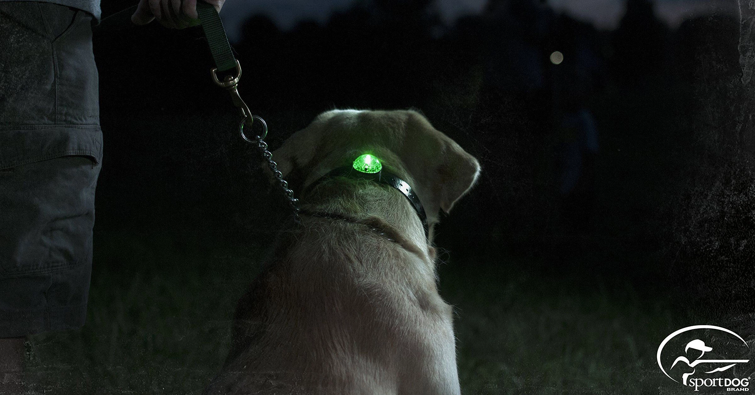 SportDOG LED beacon safety light and dog collar accessories