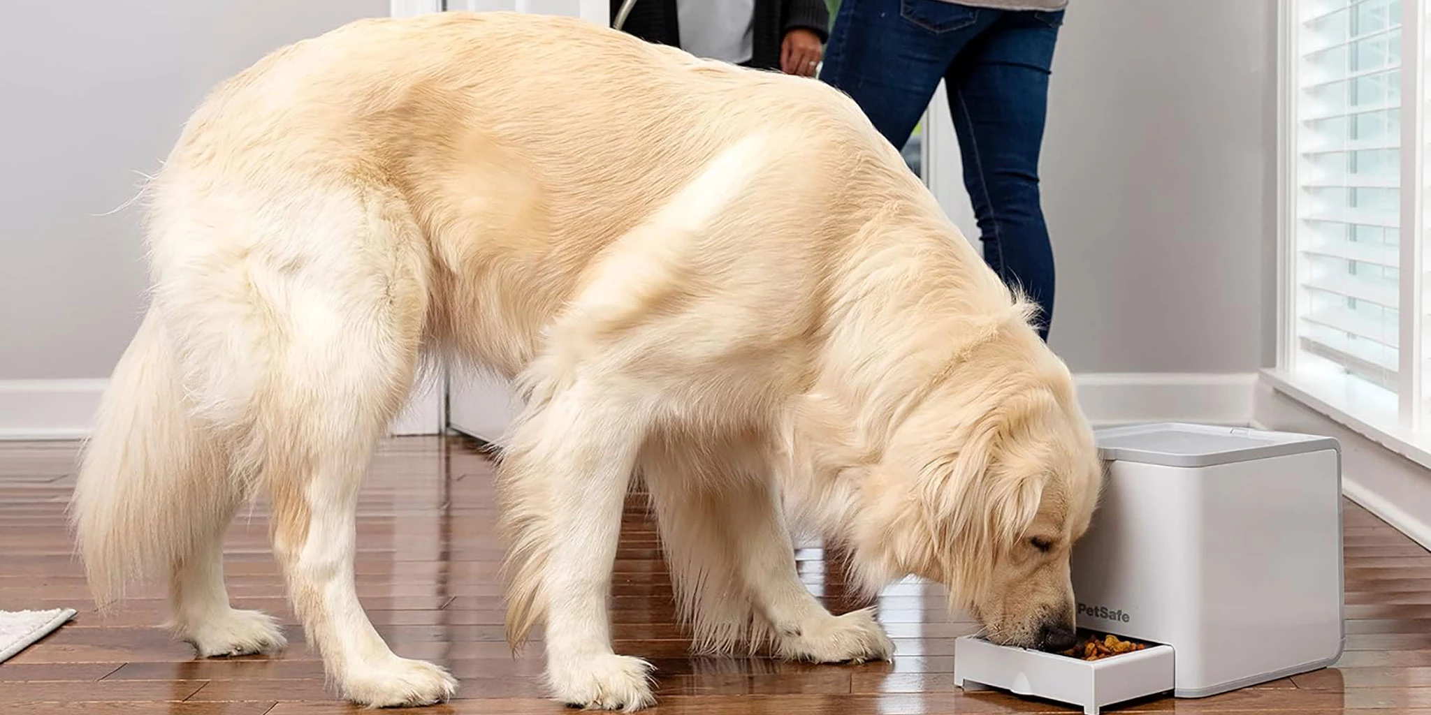 PetSafe Teach and Treat portable remote reward training system for dogs