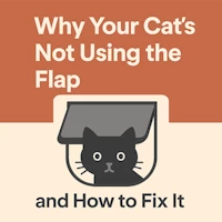Why Your Cat’s Not Using the Flap (and How to Fix It)