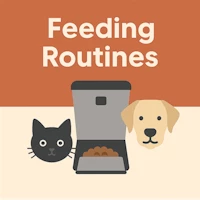 Feeding Routines for Happy Cats and Dogs (with Timed Feeder Tips)