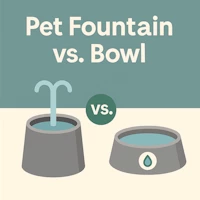 Do You Need a Pet Fountain If You Already Have a Bowl?