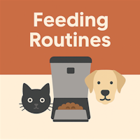 Feeding Routines for Happy Cats and Dogs (with Timed Feeder Tips)