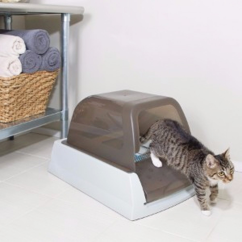 A self cleaning automatic system that cleans the cat liter to reduce smells