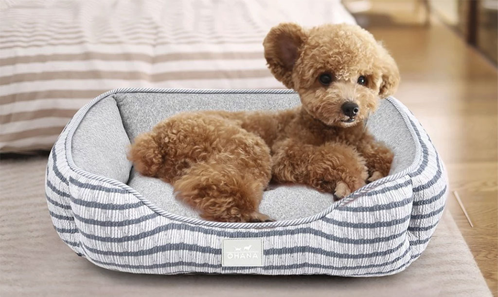 High quality dog beds orthapedic anti bacterial cosy and warn for healthy dogs