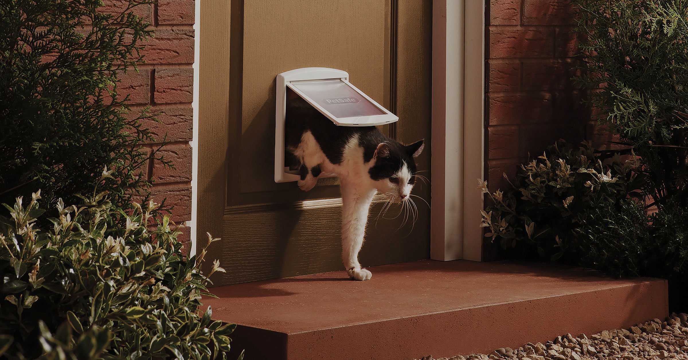Small dog door flap in white can be shared with cats.