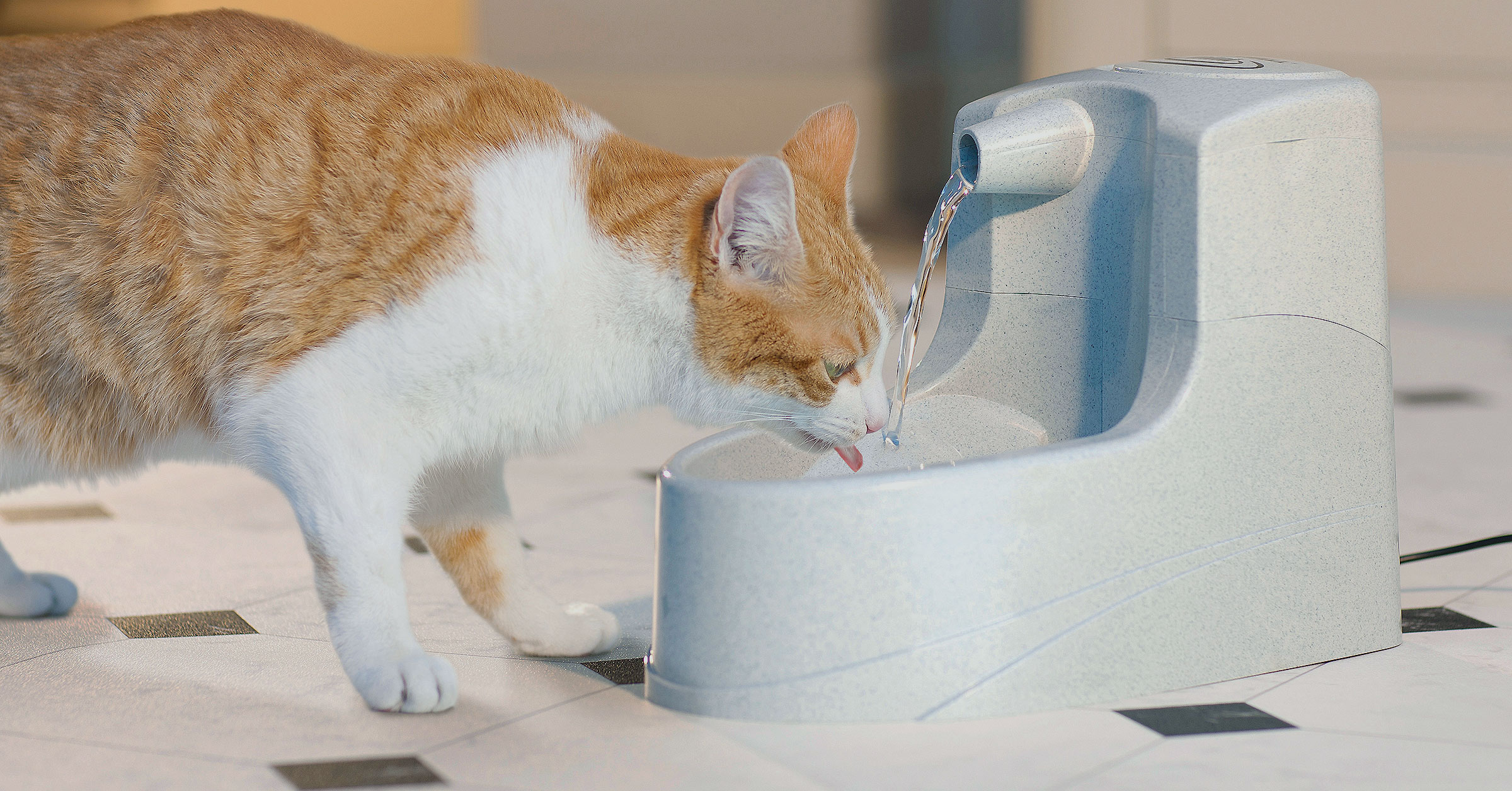 A small version cat water fountain with a cat drinking