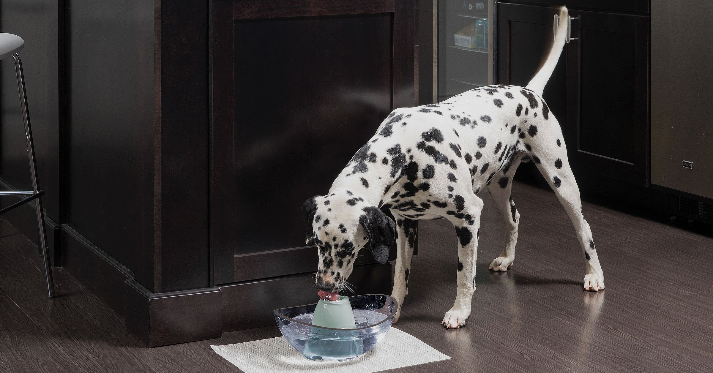 Happy dog drinking flowing water from glass water fountain