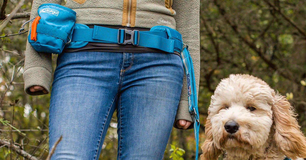 dog treat bag that is compatable with the Kurgo RSG belt