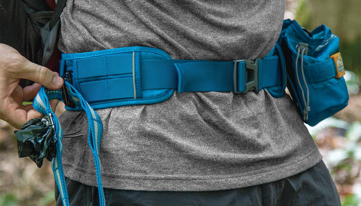 Multipurpose belt to aid dog walking and carry accessories 