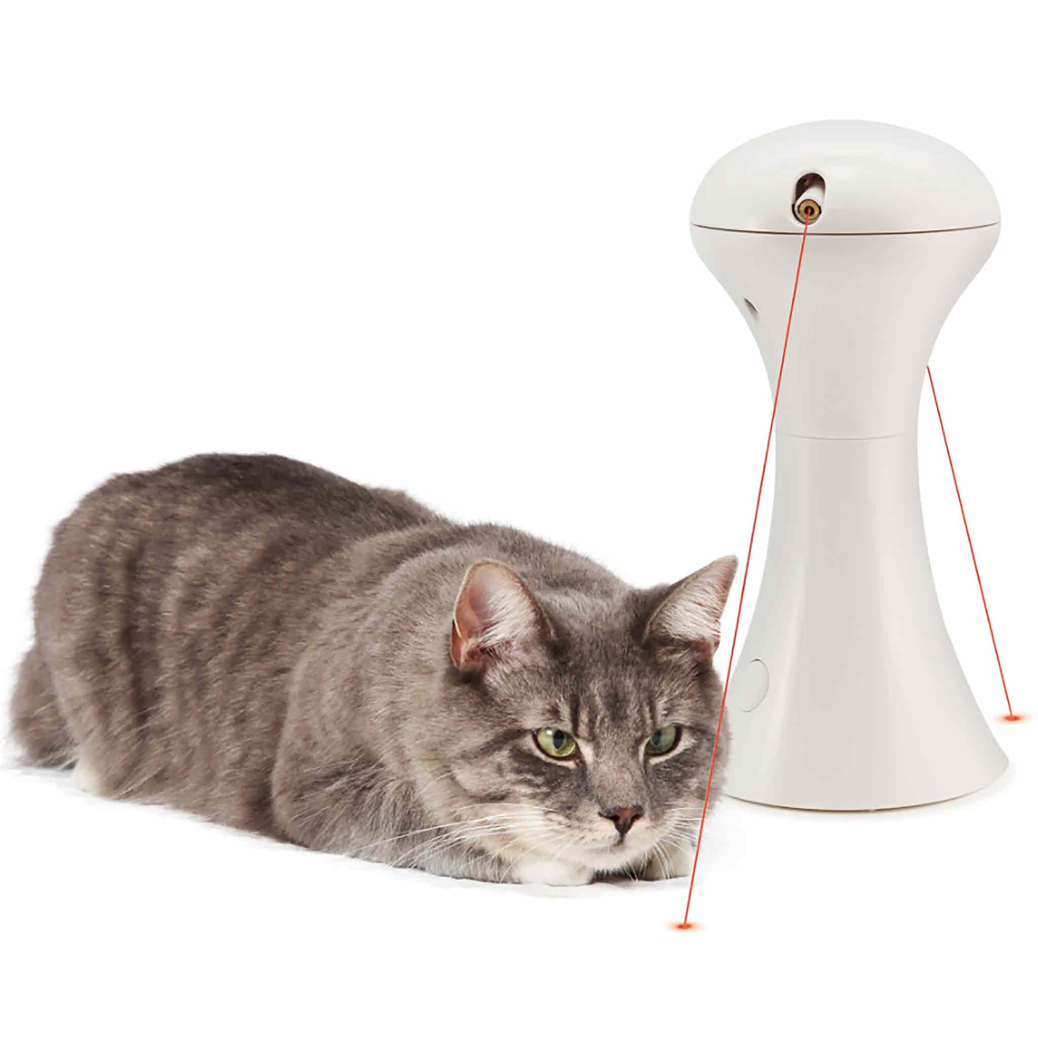 Samm battery powered toy that shines laser lights for cats to chase. Hours of fun and great to watch.