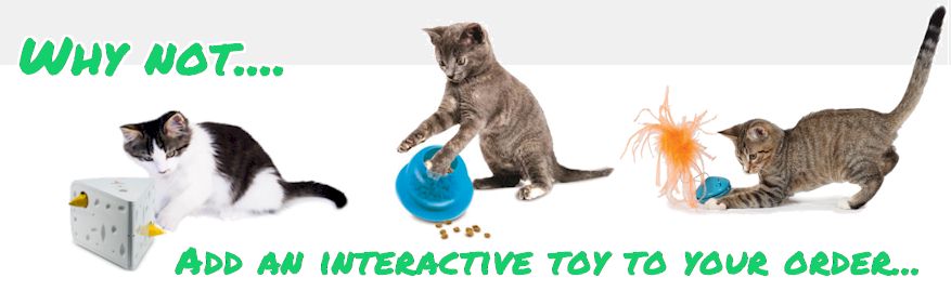 Why not add a cat toy